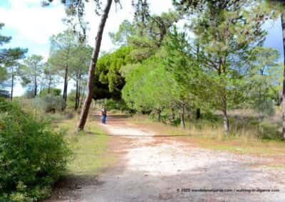 Natuurpark Ria Formosa Olhão