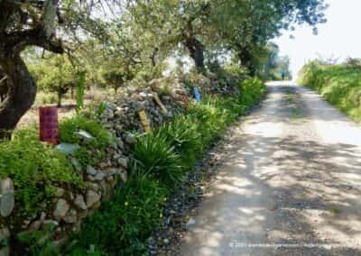 Wandelingen gemeente Tavira Algarve Portugal