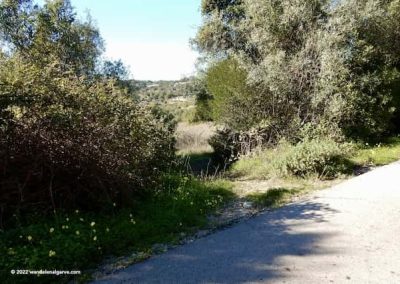 Kleine paadjes op wandelingen in de Algarve