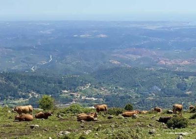 Wandelroutes Algarve - Monchique - Via Algarviana - GR13 - Wandelen