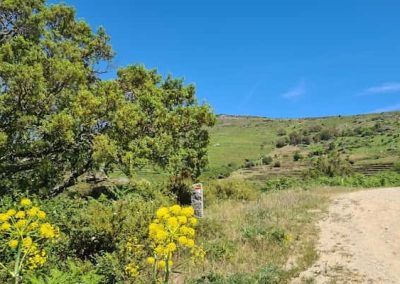 Wandelen Algarve in de Monchique, beschrijvingen, GPS tracks en accommodaties