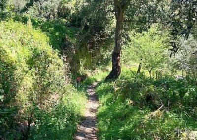 Wandelen Algarve - Monchique - Trilho das Hortas - Walking-in-Algarve - Wandelroutes Portugal
