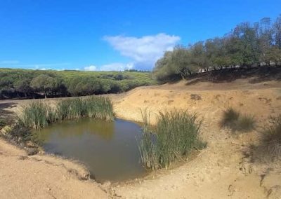 Wandelroutes Parque Natural Costa Vicentina - Vila do Bispo - Trilho Castelejo - West Algarve - Portugal - Hiking Trails