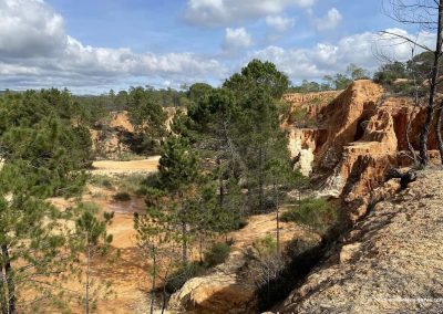 Wandelen Algarve -Canyon wandeling Gambelas nabij Faro. 8 Kilometer, eenvoudig