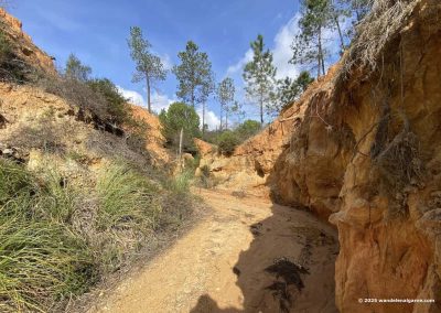 Wandelen Algarve -Canyon wandeling Gambelas nabij Faro.