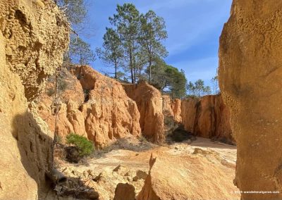 Wandelen Algarve -Canyon wandeling Gambelas nabij Faro. 8 Kilometer, eenvoudig