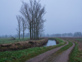 Neerlinter-Halewijn-19-jan-2025-75-km-23