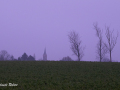 Neerlinter-Halewijn-19-jan-2025-75-km-26