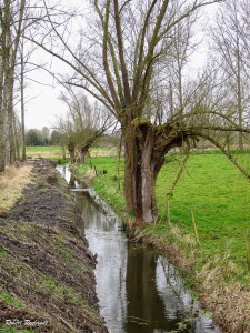 Halewijn - Hogen  Geetbets 30-03-2015 - 25 