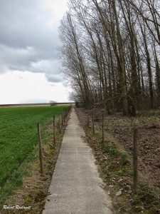 Halewijn - Hogen  Geetbets 30-03-2015 - 61      