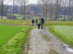 Halewijn Neerlinter 18-01-2015 - 22