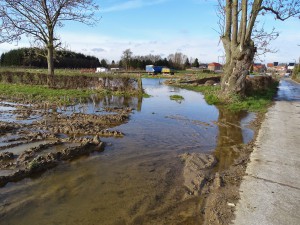 Halewijn Neerlinter 18-01-2015 - 34