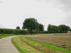 Orsmaal 29 sept 2014 - Halewijn Zoutleeuw - Pensentocht - 013