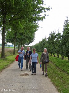 Orsmaal 29 sept 2014 - Halewijn Zoutleeuw - Pensentocht - 016