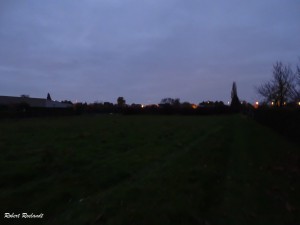 Halewijn - Halle-Booienhoven 11-11-2015 - 07                  