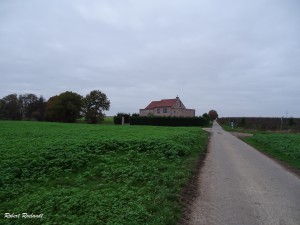 Halewijn - Halle-Booienhoven 11-11-2015 - 22        