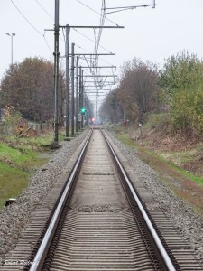 Halewijn - Halle-Booienhoven 11-11-2015 - 33 