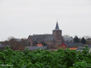 Halewijn - Halle-Booienhoven 11-11-2015 - 43