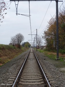 Halewijn - Halle-Booienhoven 11-11-2015 - 44