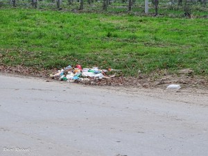 Halewijn - Halle-Booienhoven 11-11-2015 - 47