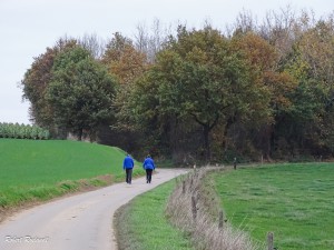 Halewijn - Halle-Booienhoven 11-11-2015 - 49