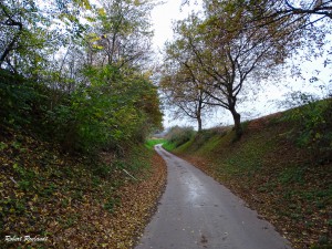 Halewijn - Halle-Booienhoven 11-11-2015 - 62