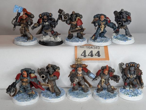 Space Wolf Marines