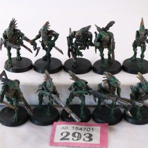 Kroot Carnivore Squad