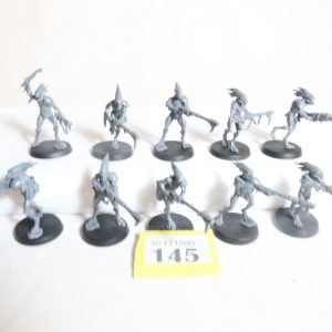 Kroot Carnivores