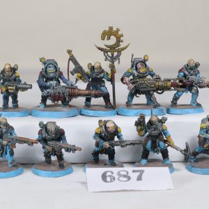 10 x Neophyte Hybrids