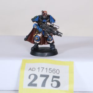 Scout sergeant Telion