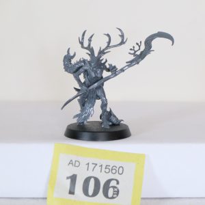 Sylvaneth: Branchwych