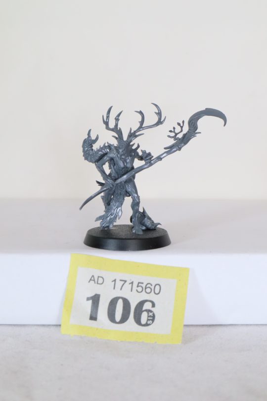 Sylvaneth: Branchwych