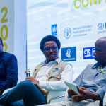 Putting the Pieces Together: Reflections on Water, Wildlife, and the Future of Environmental Governance in Sierra Leone