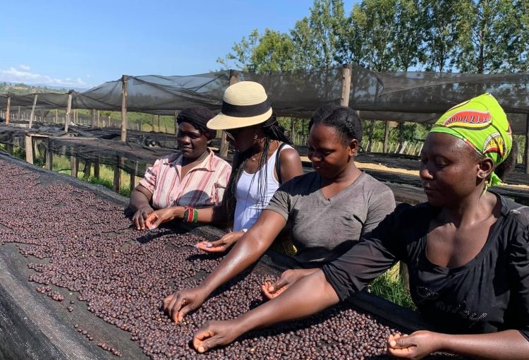 Sakami coffee farm employees are widows who are able to meet their families’ needs thanks to having a job- Way Empowerment NGO Kenya