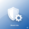 Boost Lite – Monthly Website Care Plan