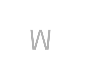 logolight WM-webdesign-mingneau