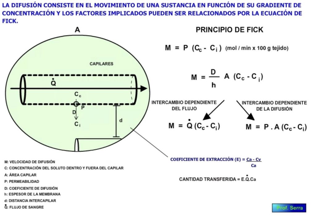 Difusión capilar