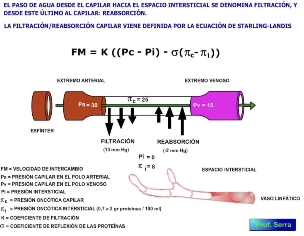 Filtración reabsorción.