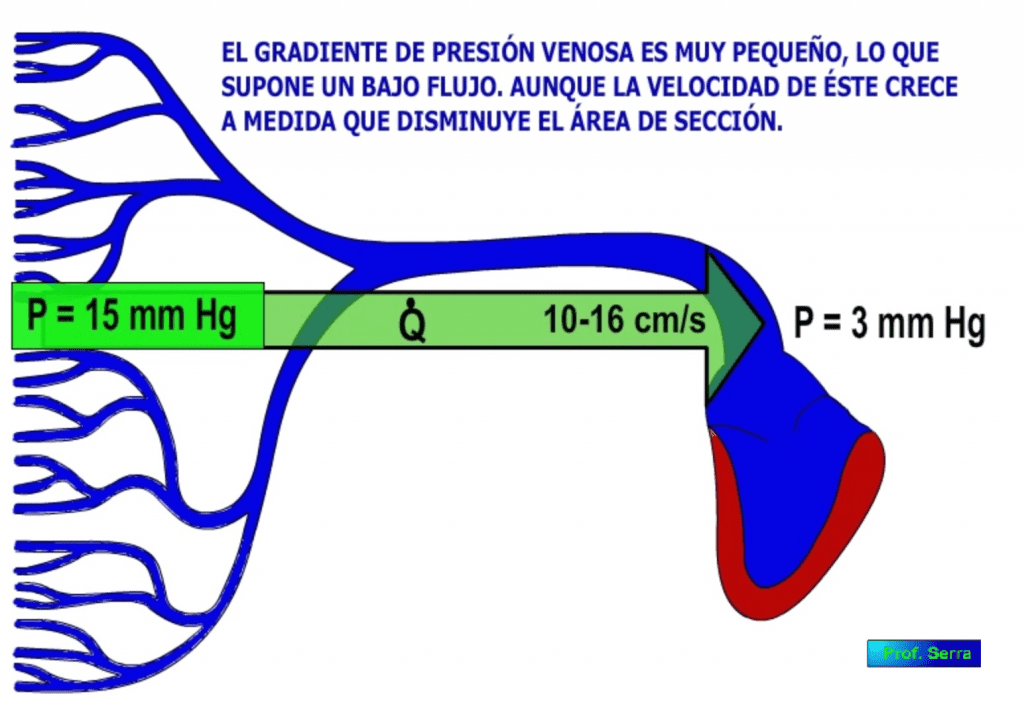 Flujo venoso