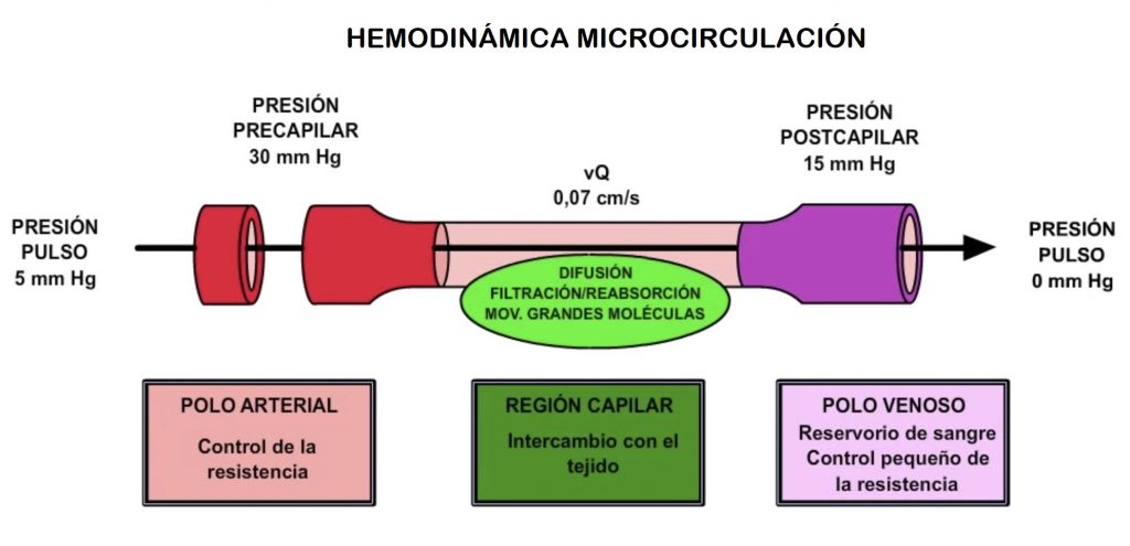 hemodinámica de la microcirculación