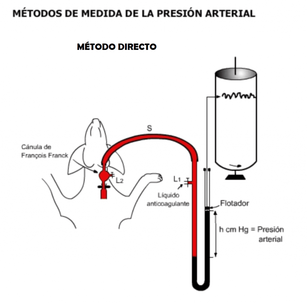 Medida directa de la presión arterial