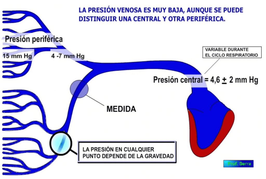 presión venosa