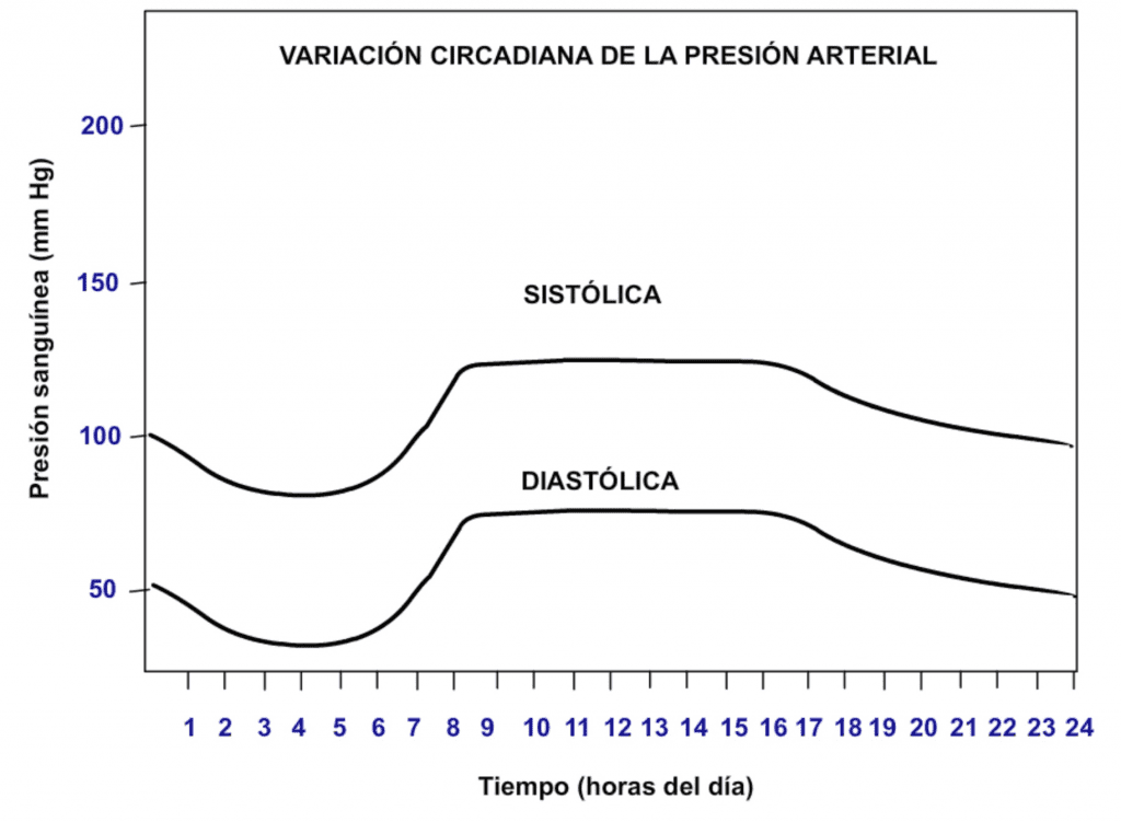 Ritmo circadiano en la presión arterial