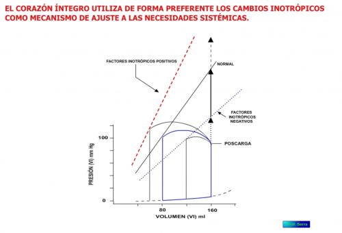 factores inotrópicos en la contractilidad ventricular