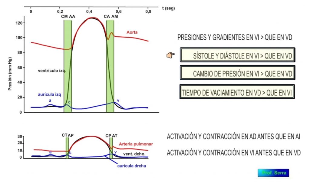 diferencias bombas 1