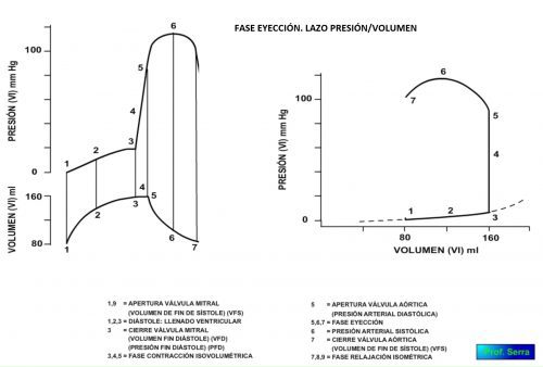 fase eyección, lazo presión volumen