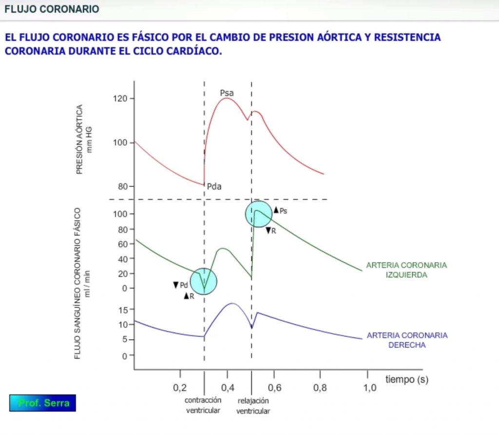 hemodinámica coronaria