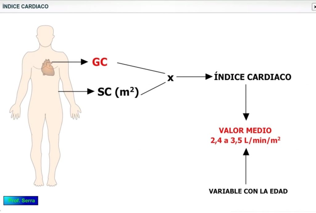 índice cardíaco