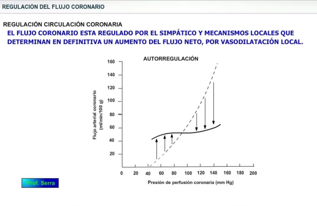 flujo coronario